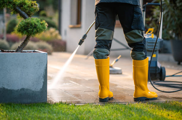 Best Exterior Home Cleaning  in Burnham, PA